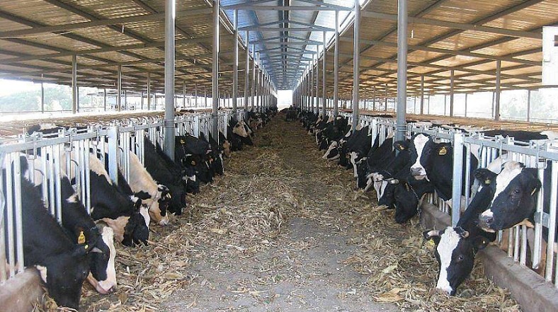 艾思捷定制款PGV035系列減速機--應用在畜牧業(yè)、飼料行業(yè)